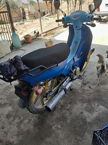 moto bot: Moped/skuter – şəhər içi rahat gediş üçün prak Xüsusiyyətlər: - — 3