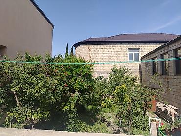 neftciler: Suraxanı 5 otaqlı, 200 kv. m, Orta təmir — 1