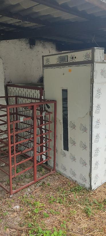 1100 yumurta, Bütün növ quşlar üçün
