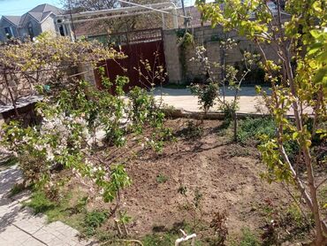 Otaqların uzunmüddətli kirayəsi: Satilr: geniş və işıqlı otaq.2 otaq 1 zal metbex hamam ayaq yolu — 21