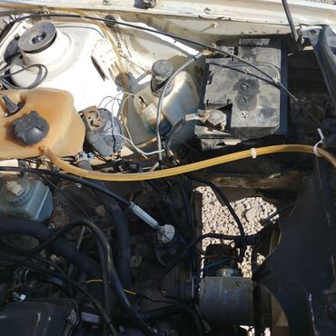 Volkswagen: Volkswagen Golf: 1988 г., 1.6 л, Механика, Дизель, Хэтчбэк — 11