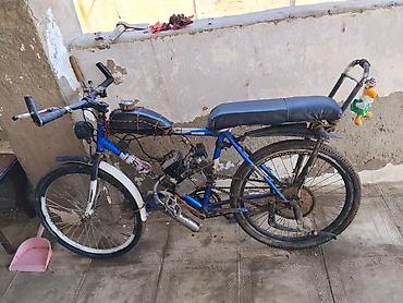 3 təkərli motor: - SELS, 80 sm3, 2024 il, 60 km — 4