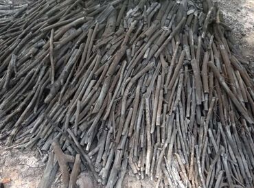 Kömür: Gec sonen yuksek kefiyyetli komur 5.5m dan 7.5man kimi cox alana — 4