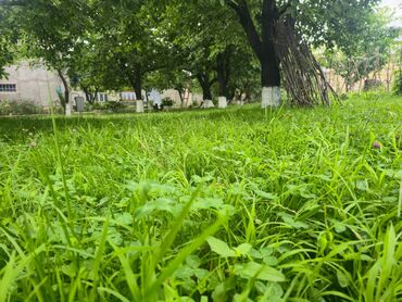 Günlük kirayə evlər: 40 kv. m, 2 otaqlı, Artezian quyusu, Kanalizasiya, Qaz — 12