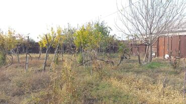 Torpaq sahələrinin satışı: 6 sot, Maklerlər narahat etməsin, Kupça (Çıxarış) — 6