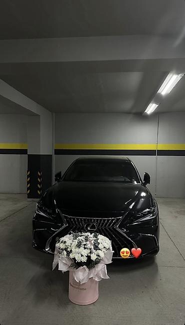аф: Сдаю Kia K5, Почасово, С водителем — 4