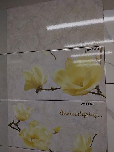 магнолия: Керамическая настенная плитка с декоративными панно Serendipity. - — 1