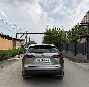 Lexus: Lexus NX: 2020 г., 2 л, Автомат, Бензин, Кроссовер — 7