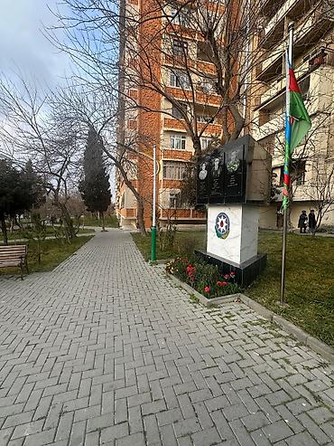 şeki: Köhnə Güneslide yerləşən Afrodita şadlıq sarayı ilə üz üzə parkın düz — 2