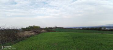 Torpaq sahələrinin satışı: Tikinti — 33