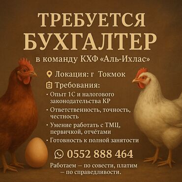 финляндия работа для кыргызстанцев: Бухгалтер