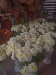 работа официантом ночные смены: Требуется флорист. женщина от 20 до 40 лет оплата договорная