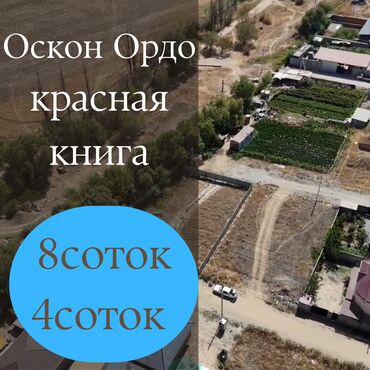 4 соток, Курулуш, Кызыл китеп, Сатып алуу-сатуу келишими