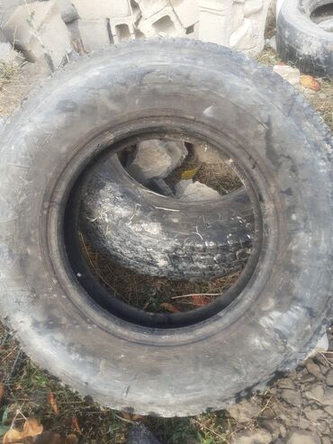 разноширокие шины: Грузовые шины (пара) 235. 175 - Тип: радиальные грузовые шины для