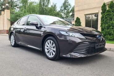 byd машина электромобиль: Toyota Camry: 2021 г., 2.5 л, Вариатор, Гибрид, Седан