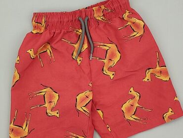 Shorts: Shorts, Little kids, 4-5 years, 104/110, condition - Good