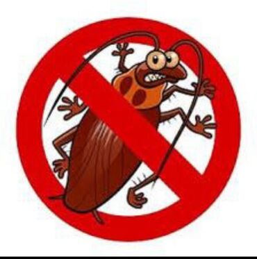 Мойки высокого давления: Уничтожение Клопов, блох и всех видов тараканов !