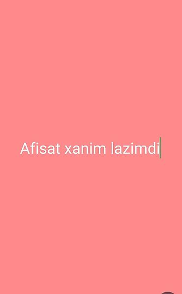 operator vakansiyalar: Ofis menecer, katib tələb olunur — 1
