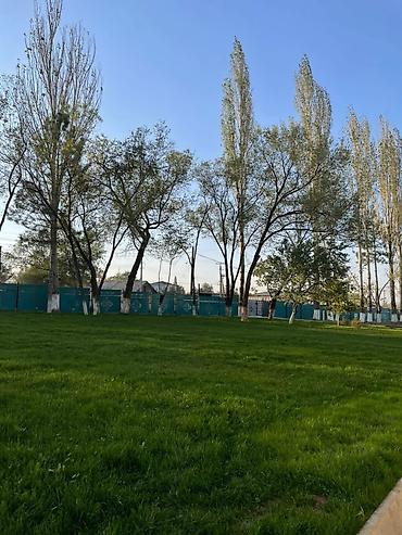 дети моря: Посев газона, установка автополива под ключ 🔑 ведем работы любой — 2
