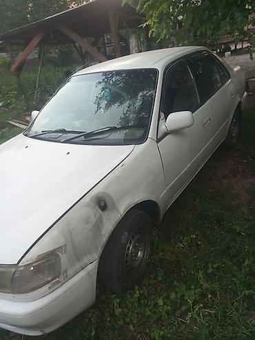 Транспорт: Toyota Corolla: 2000 г., Автомат, Седан — 1