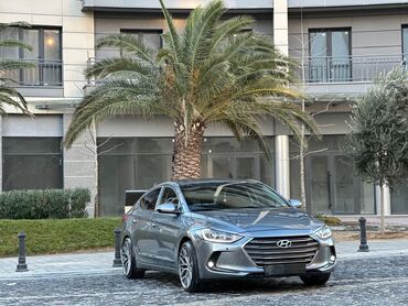 Hyundai: Hyundai Elantra: 1.6 l | 2016 il Sedan