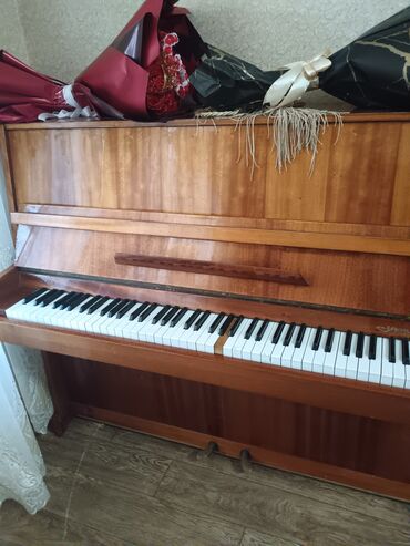 Akkordeonlar: Piano, Akustik, İşlənmiş, Ünvandan götürmə