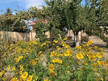 ağdaş emlak: SAHIBINDEN 🏡 ALBALILIQDA MÖHTƏŞƏM BAĞ EVİ – HƏM YAŞAYIŞ, HƏM DƏ — 1