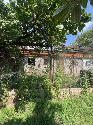 я ищу дом сокулуке: Дом, 40 м², 2 комнаты, Риэлтор, Косметический ремонт