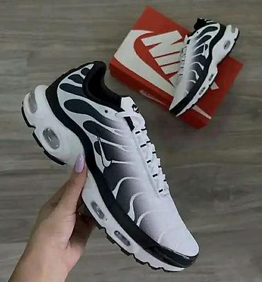 mega eagle 2024: Nike TN A klasa
Cena: 4999 din
Brojevi: 41-46
PS✨ — 7