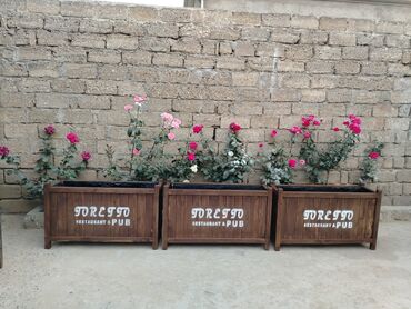 Sifarişlə digər bağ mebeli: Taxta məmulatları və həyət/perqola konstruksiyaları - Mətbəx üçün — 24