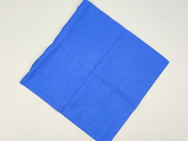 PL - Pillowcase, 39 x 39, color - Blue, condition - Perfect