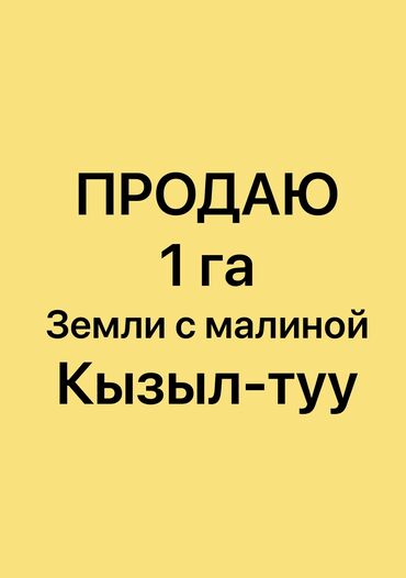 купить дом 200 кв м: 100 соток, Бизнес үчүн