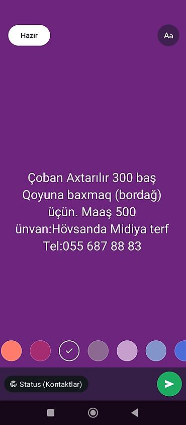 ferma işi 2025: Vakansiya: Çoban - 300 baş qoyuna baxmaq (bordaq). - Maaş: 500. - — 1