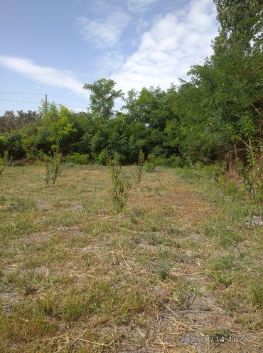 Torpaq sahələrinin satışı: 13 sot, Kənd təsərrüfatı, Barter mümkündür, Kupça (Çıxarış) — 6