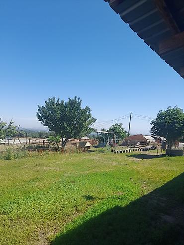 Продажа коттеджей и домов: Продаю дом+кошару в совхозе Ала-Тоо у подножия горы, есть условия для — 3