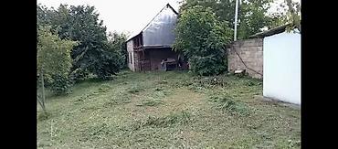 bina az 7 mkr satilan evler: Satılır: Balaken rayon həyət evi və geniş bağ sahəsi - Bir mərtəbəli — 4