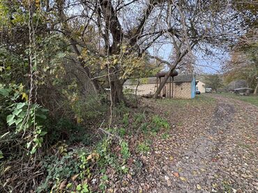 Kommersiya daşınmaz əmlakının satışı: Təcili satılır 28-sot (KUPCA CIXARIŞ TEXNİKİ PASPORT DAİMİ MÜLKİYƏT -da lalafo.az — 16 Kommersiya daşınmaz əmlakının satışı: Təcili satılır 28-sot (KUPCA CIXARIŞ TEXNİKİ PASPORT DAİMİ MÜLKİYƏT — 16