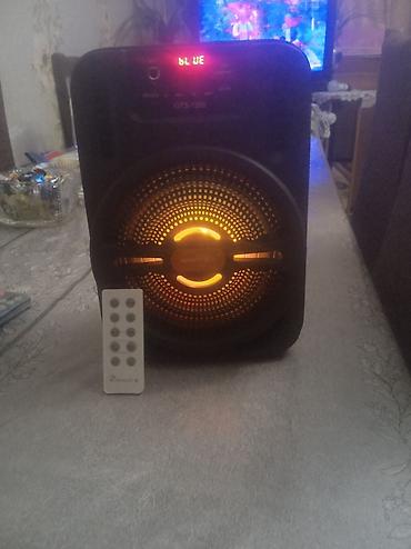ev kalonka: Portativ Bluetooth akustik sistem - Model: GTS-1255 (ön paneldə qeyd — 1