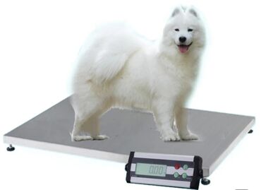 Ticarət tərəziləri: Terezi satisi ve temiri — 5