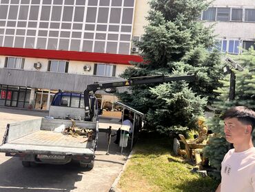 Автовышки, краны: Манипулятор | Стрела 4 м. 1 т | Борт 2000 кг