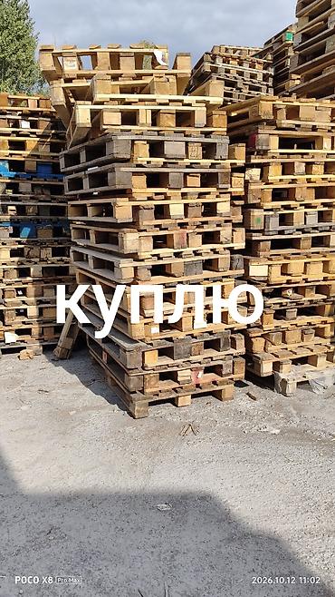 Куплю паддоны 
паддон кабыл алабыз