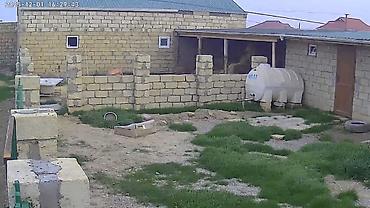 gence kiraye evler 2023: Torpaq sahəsi və həyət evi satılır - Həyətyanı sahə: Dörd tərəfi daş — 4