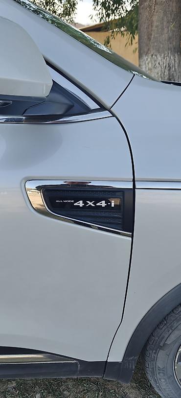 Renault: Renault QM6: 2018 г., 2 л, Вариатор, Дизель, Кроссовер — 15