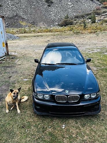 пороги бмв е53: BMW 5 series: 1997 г., 2.5 л, Автомат, Бензин, Седан — 1
