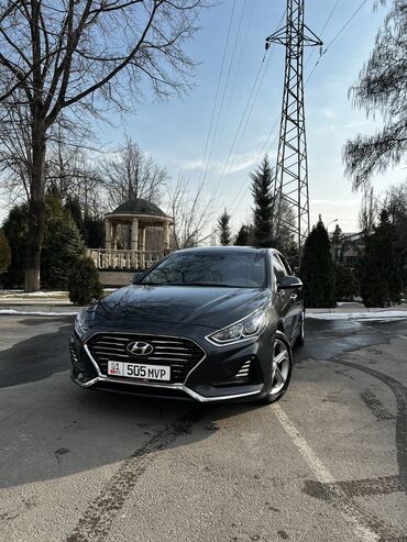 hyundai stellar: Hyundai Sonata: 2017 г., 2 л, Автомат, Газ, Седан