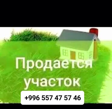кок ой: 6 соток, Курулуш
