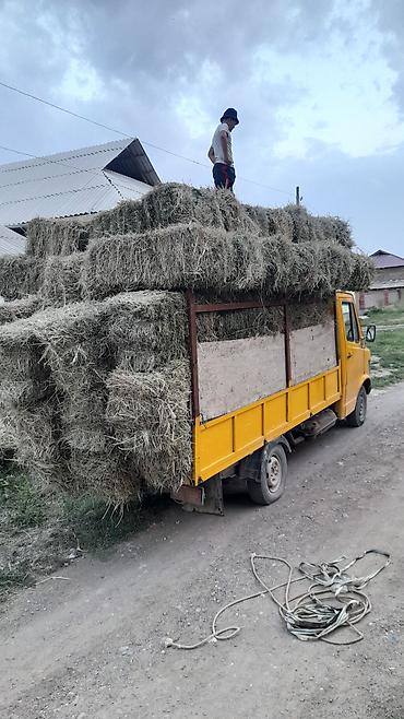 ферм: Легкий грузовик, Mercedes-Benz, Стандарт, 3 т, Б/у — 7