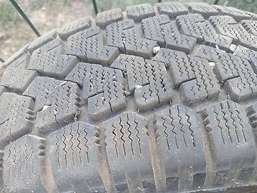 авто толщиномер: Зимняя шина Yokohama Guardex - Размер: 205/60 R16 - Индекс — 1