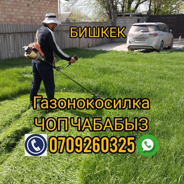 газон бишкек: Газонокосилка 

стрижка газон 

стрижка трава 

газонокосилка