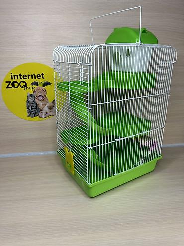 Хомяки: Продаются хомячки джунгарские, сирийские, ангорские пушистые хомячки — 28